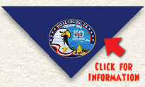 T380 50th Anniversary Neckerchief.